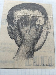 Vogel photo 2